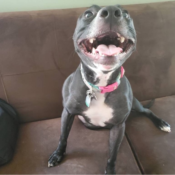 Meet your Posher, Esther - Picture 4 of 8